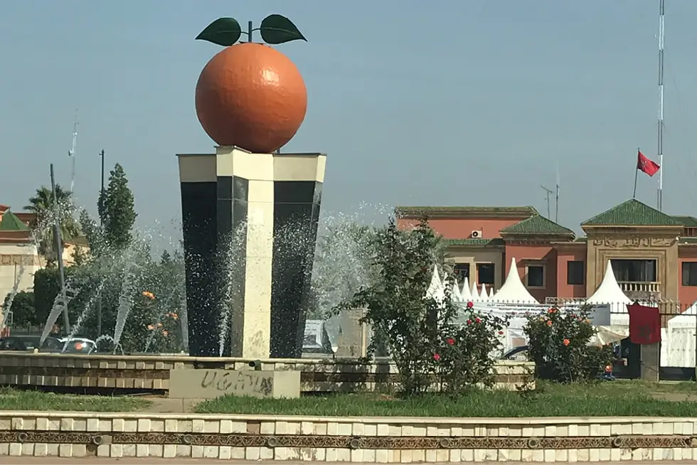 Berkane: The City of Morocco known for Its Citrus (Clementines and oranges)