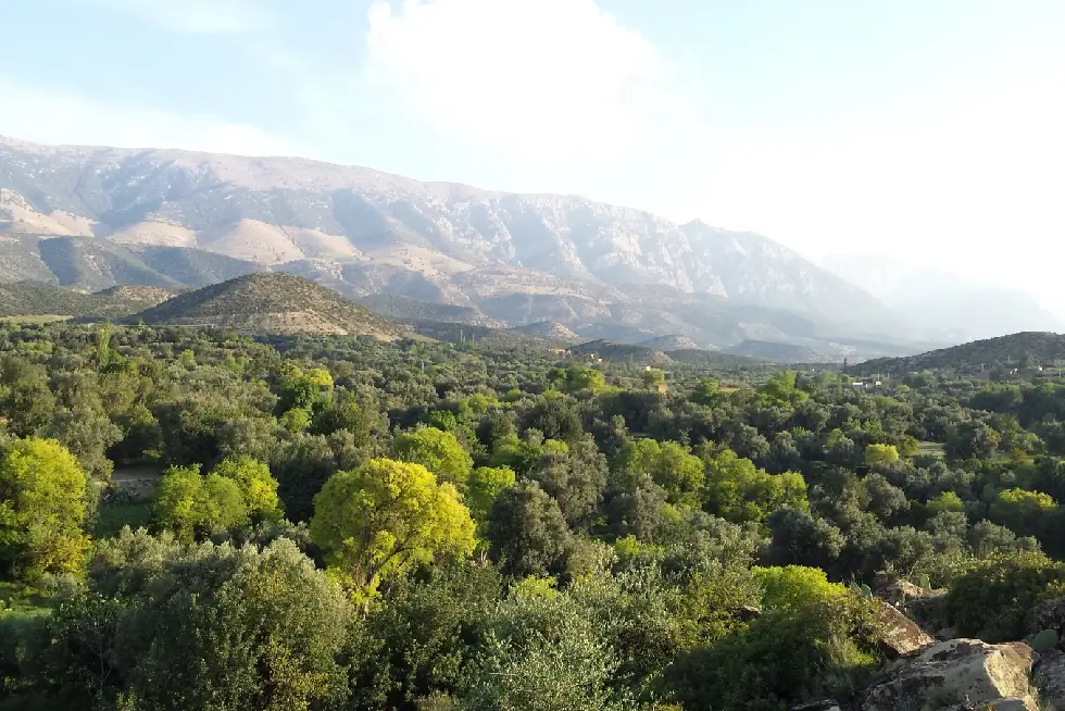 Boulemane: A Town Of Morocco Amidst the Cedar Forests of the Atlas Mountains