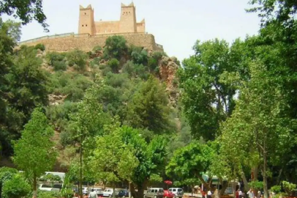 Fquih Ben Salah Town/City: Nurturing the Roots of Agriculture in Morocco